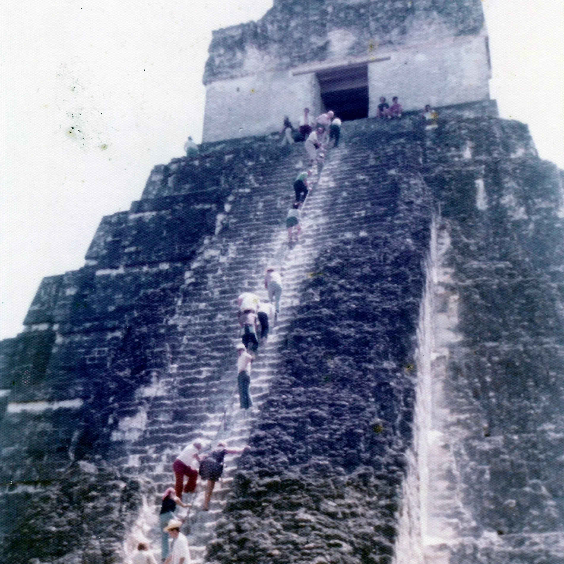 Tikal Maya temple, Guatemala Tikal Maya temple, Guatemala